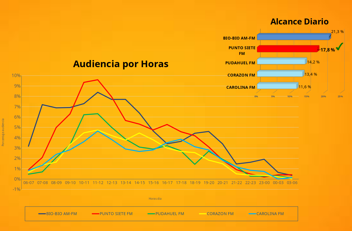 audiencia general punto 7