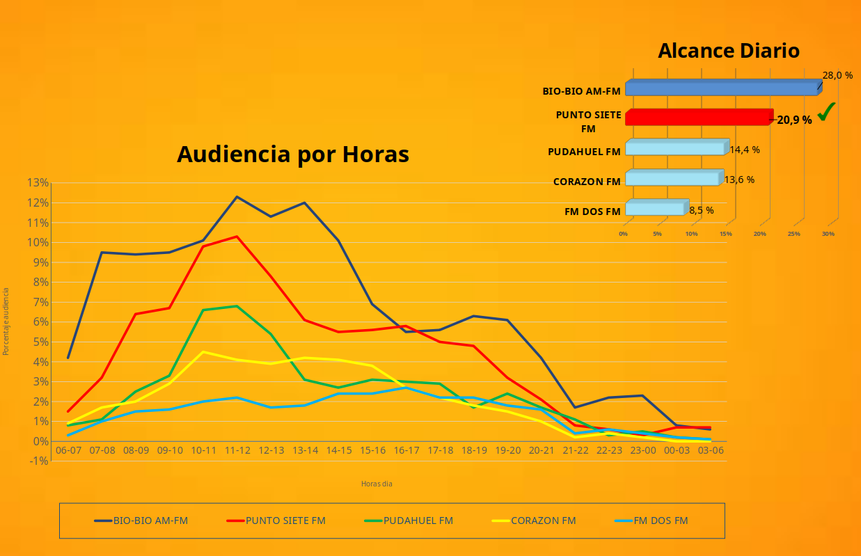 audiencia red sur punto 7