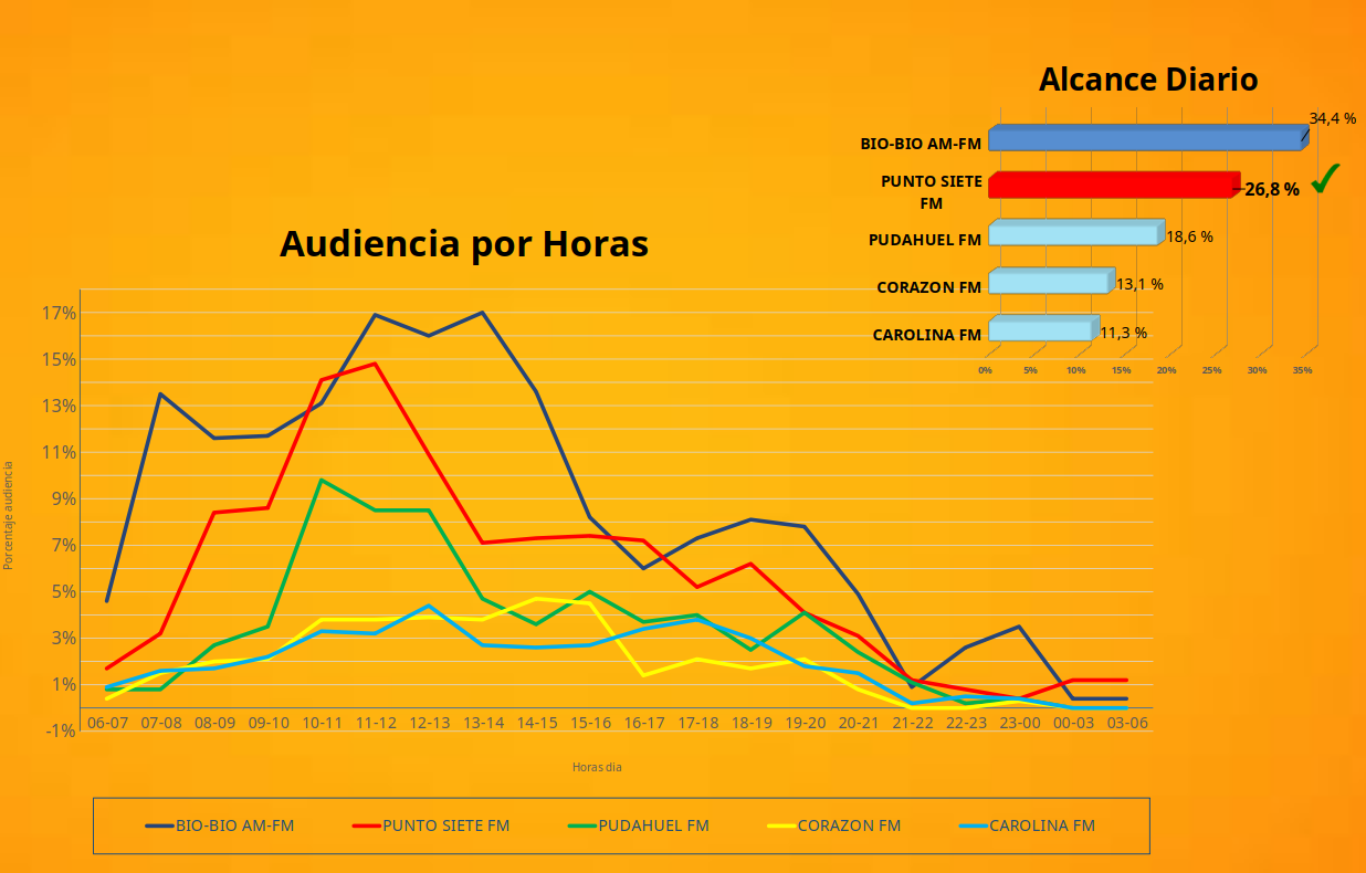 audiencia concepcion punto 7