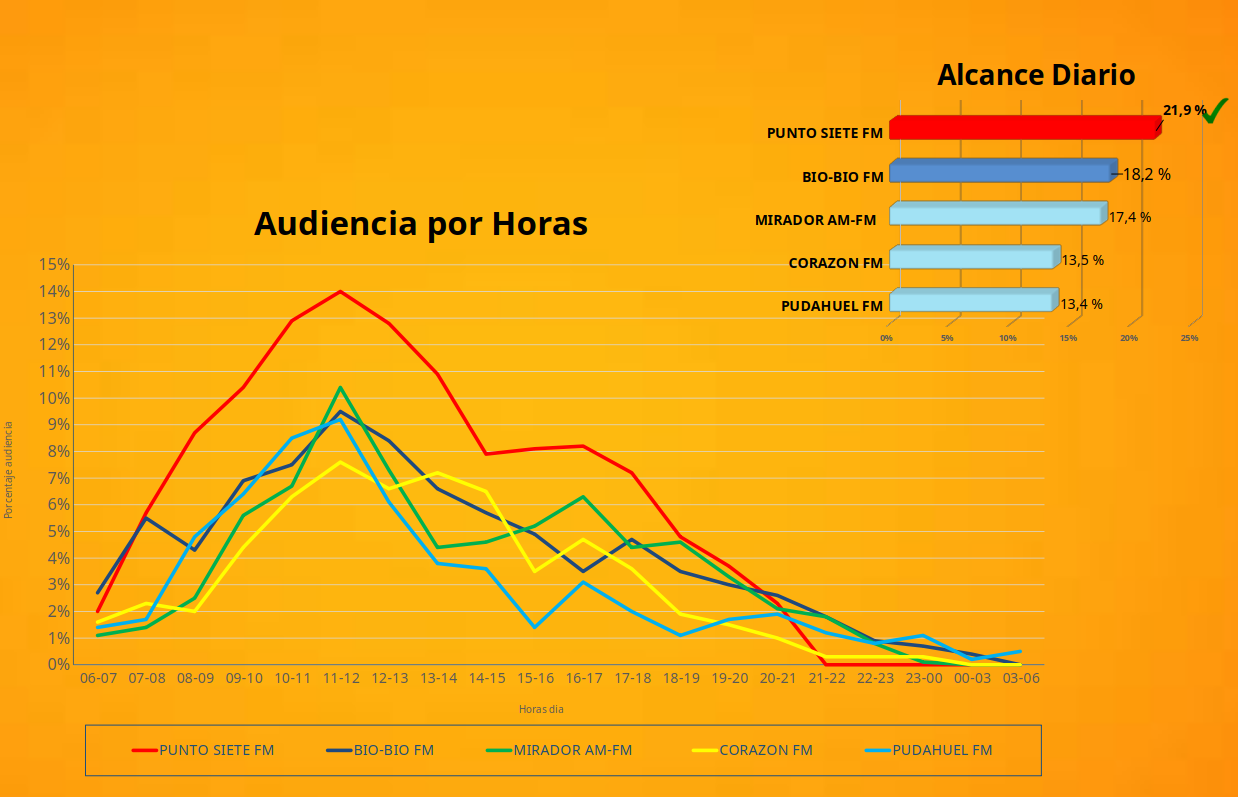 audiencia temuco punto 7