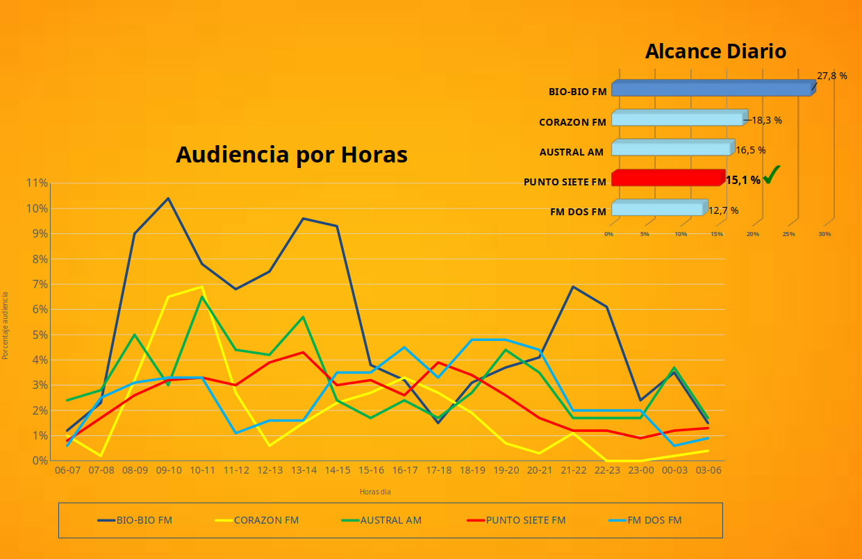 audiencia valdivia punto 7
