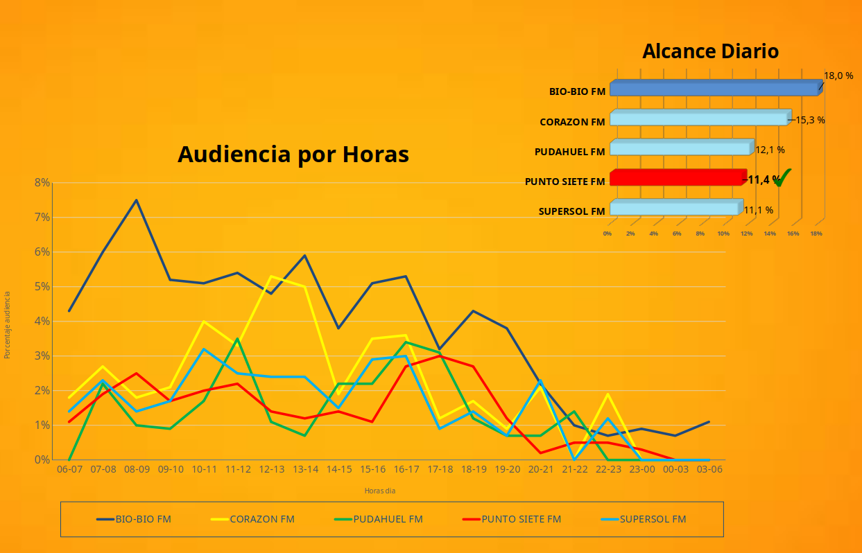 audiencia osorno punto 7