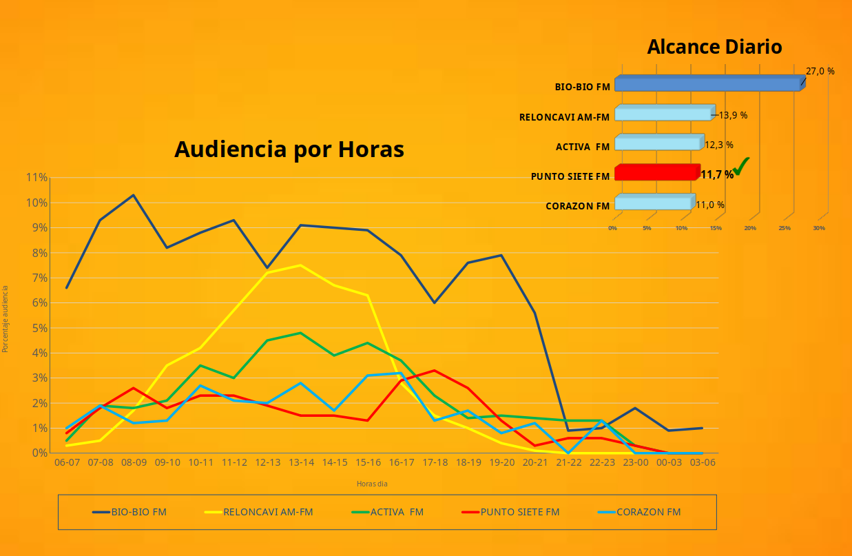 audiencia puerto montt punto 7