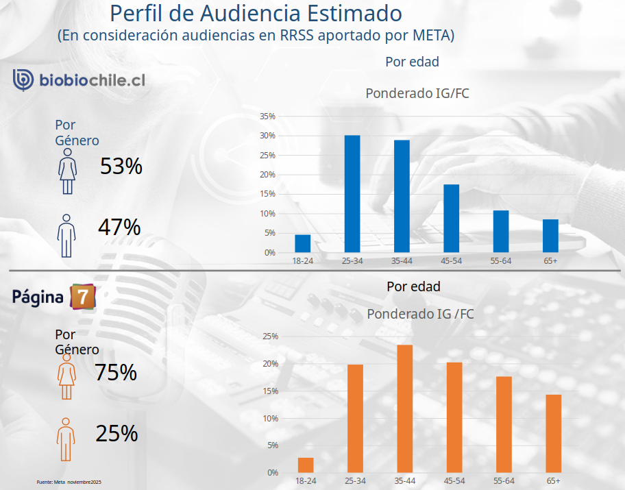 perfil audiencia